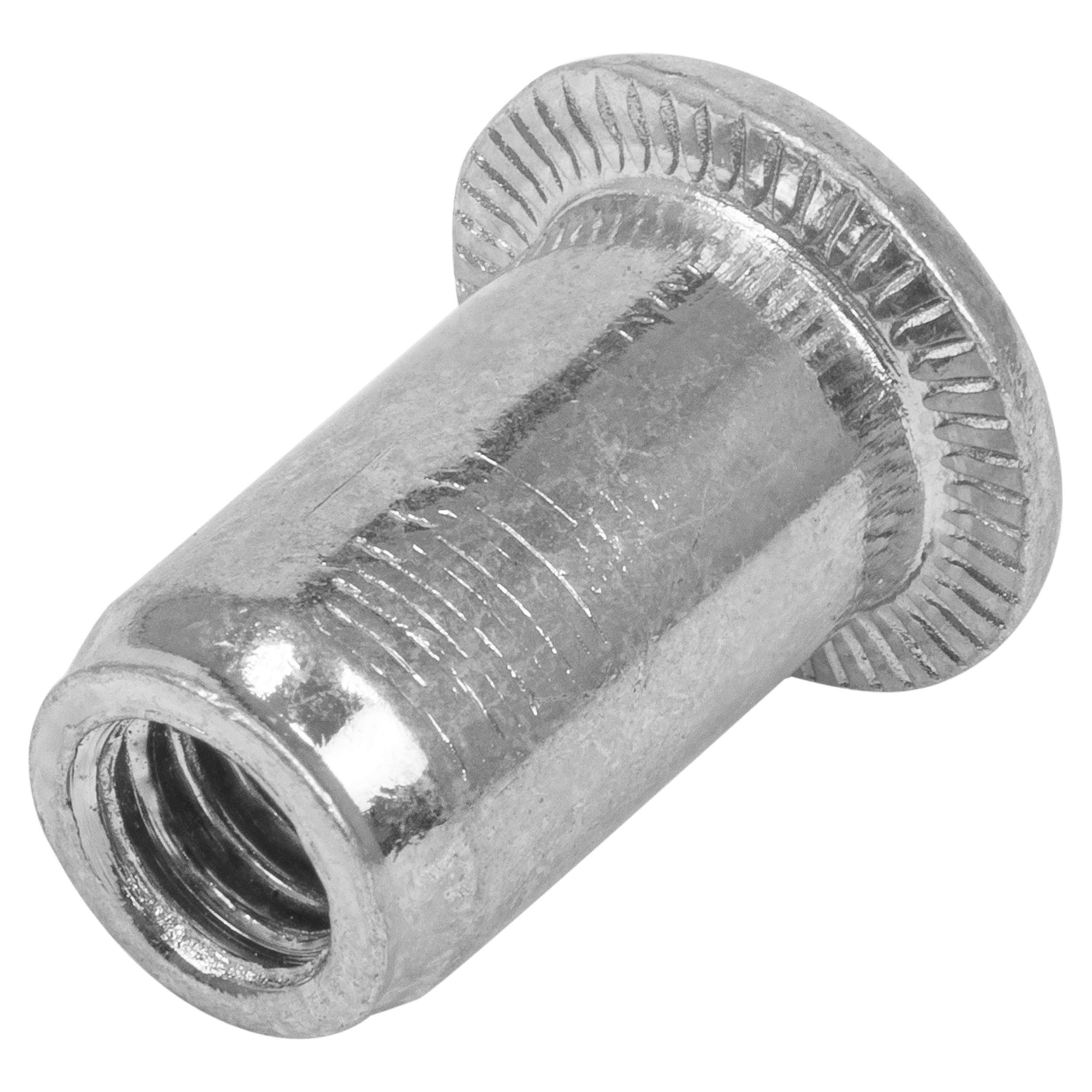 Stalen blindklinkmoeren cylindrische kop